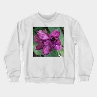 Close up of a purple flower Crewneck Sweatshirt